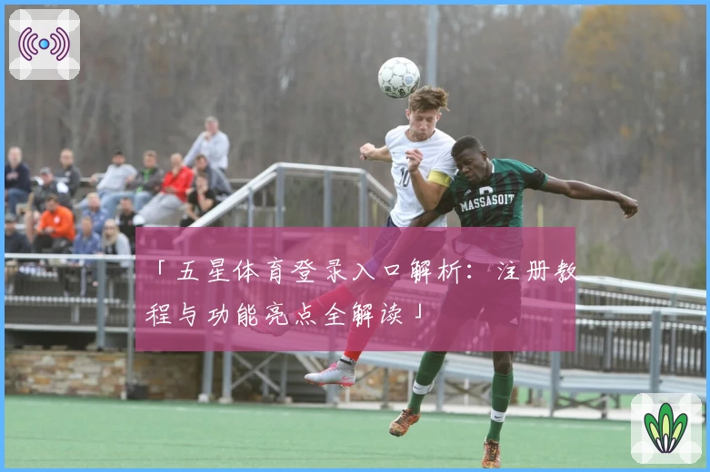 「五星体育登录入口解析：注册教程与功能亮点全解读」
