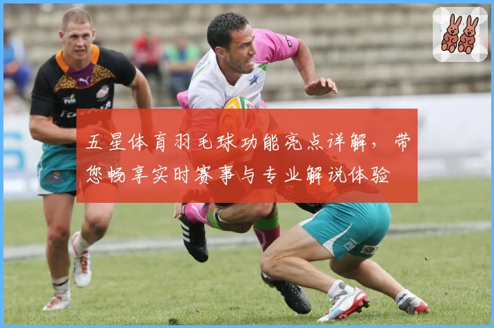 五星体育羽毛球功能亮点详解,带您畅享实时赛事与专业解说体验